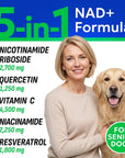 NAD+ for Dogs - Advanced Longevity Formula