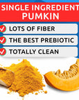 Pumpkin Powder - BarknSpark