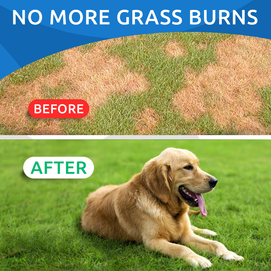 No more grass burns - BarknSpark