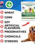 Probiotics Chews - BarknSpark