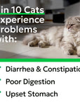 Cat Probiotic Powder — Digestive Health Support (108 Servings)