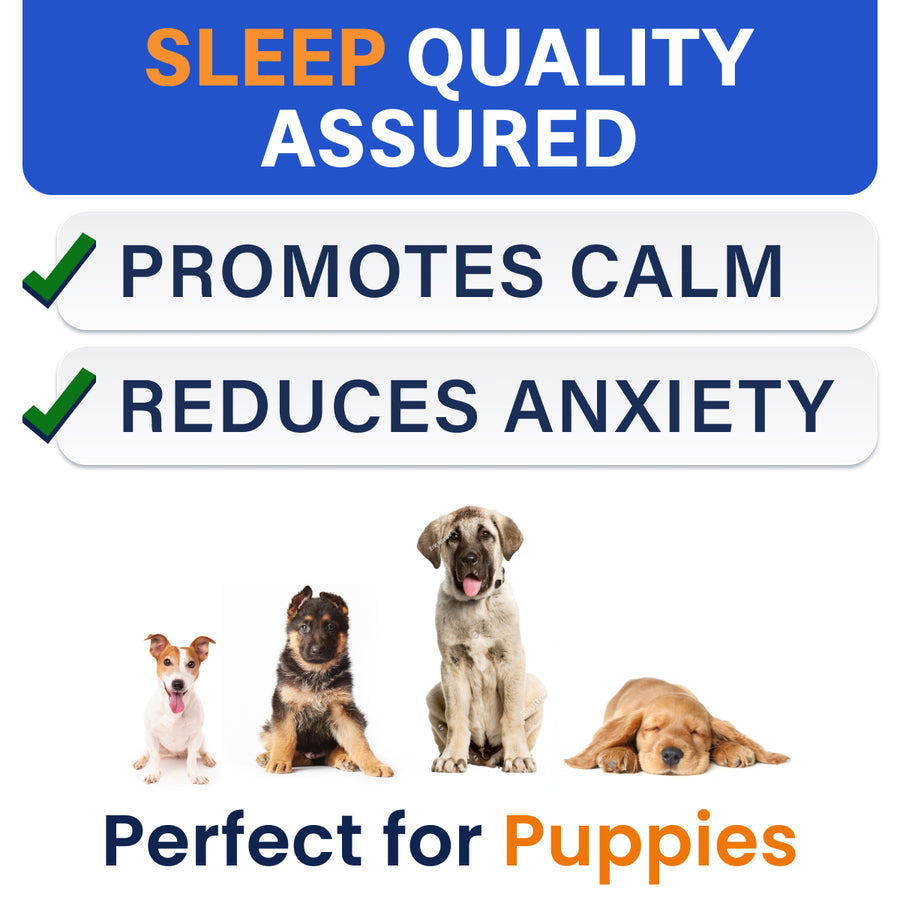 Bark&Spark™ Calming Melatonin Treats