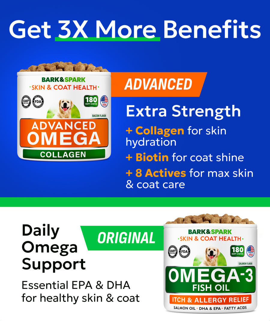 Advanced Omega & Collagen Chews for Dogs