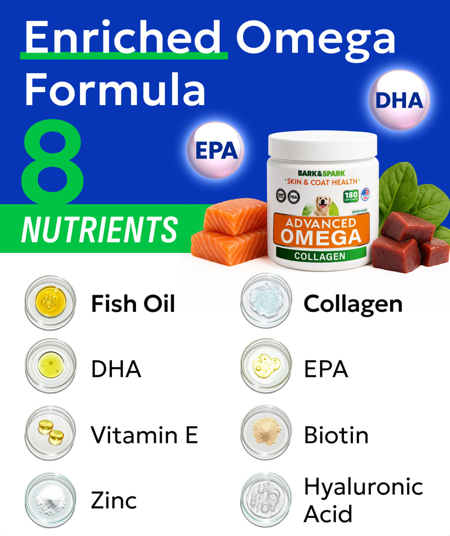 Advanced Omega & Collagen Chews for Dogs