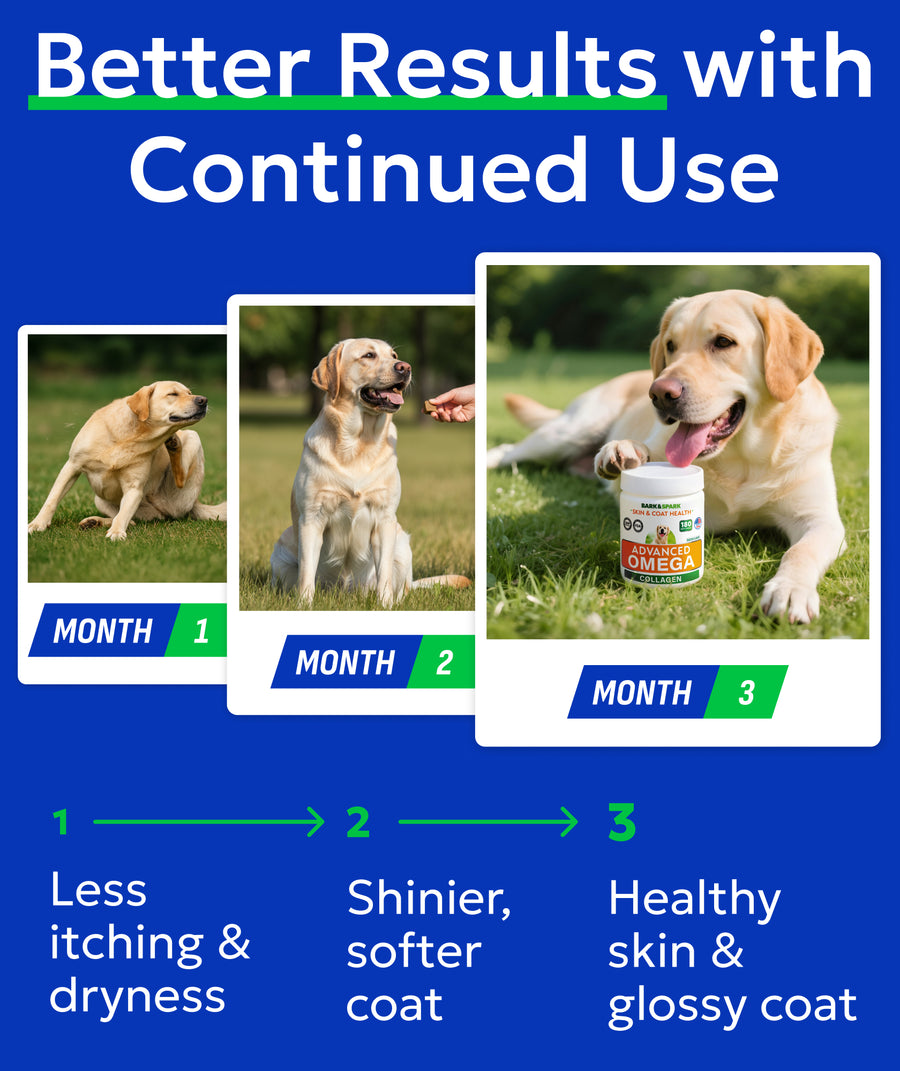 Advanced Omega & Collagen Chews for Dogs