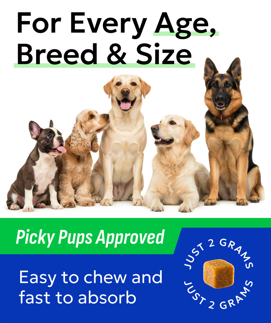 Advanced Omega & Collagen Chews for Dogs