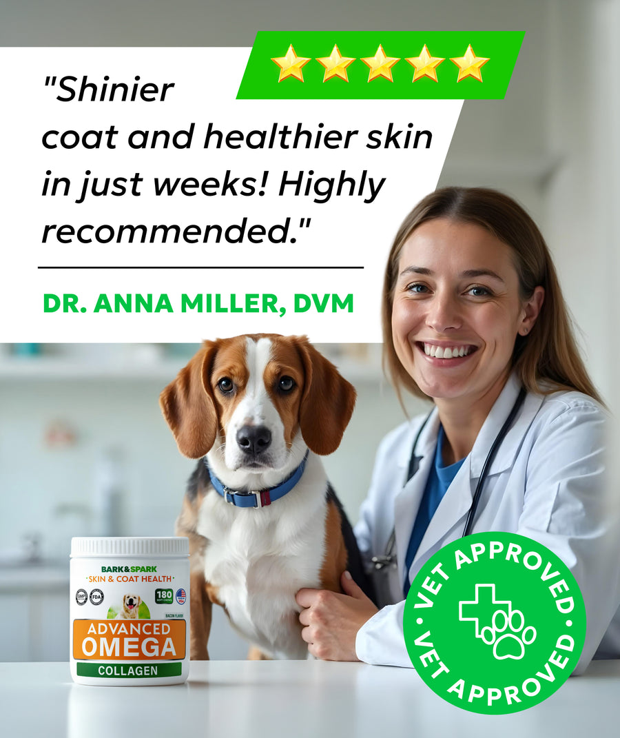 Advanced Omega & Collagen Chews for Dogs