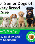NAD+ for Dogs - Advanced Longevity Formula