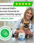 NAD+ for Dogs - Advanced Longevity Formula