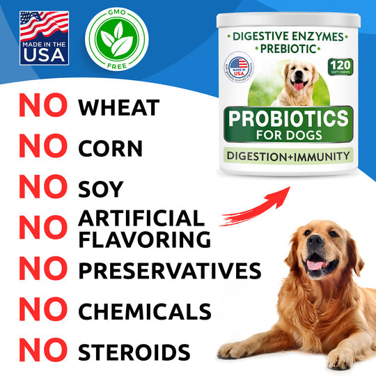 Allergy + Probiotics Chews - BarknSpark